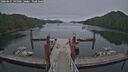 ./images/calvert/dock/20260615/dock20260615_191501M.jpg
