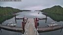 ./images/calvert/dock/20260616/dock20260616_051501M.jpg