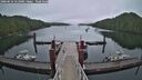 ./images/calvert/dock/20260616/dock20260616_052001M.jpg