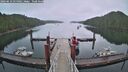 ./images/calvert/dock/20260616/dock20260616_055002M.jpg