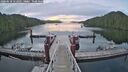 ./images/calvert/dock/20260618/dock20260618_052001M.jpg
