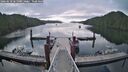 ./images/calvert/dock/20260618/dock20260618_065001M.jpg