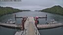 ./images/calvert/dock/20260619/dock20260619_052001M.jpg