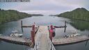 ./images/calvert/dock/20260619/dock20260619_072501M.jpg