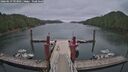 ./images/calvert/dock/20260619/dock20260619_093001M.jpg