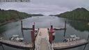 ./images/calvert/dock/20260619/dock20260619_094501M.jpg