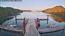 ./images/calvert/dock/20260619/dock20260619_212501M.jpg