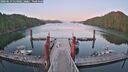 ./images/calvert/dock/20260619/dock20260619_214502M.jpg