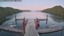 ./images/calvert/dock/20260619/dock20260619_215001M.jpg