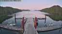 ./images/calvert/dock/20260619/dock20260619_215501M.jpg