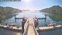 ./images/calvert/dock/20260620/dock20260620_081001M.jpg