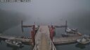 ./images/calvert/dock/20260621/dock20260621_220501M.jpg