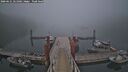 ./images/calvert/dock/20260621/dock20260621_221001M.jpg