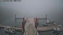 ./images/calvert/dock/20260622/dock20260622_051501M.jpg