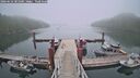 ./images/calvert/dock/20260622/dock20260622_081001M.jpg