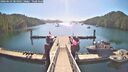 ./images/calvert/dock/20260623/dock20260623_084501M.jpg