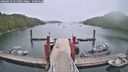 ./images/calvert/dock/20260624/dock20260624_154501M.jpg