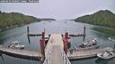./images/calvert/dock/20260624/dock20260624_160001M.jpg