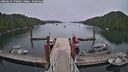 ./images/calvert/dock/20260624/dock20260624_170501M.jpg