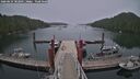 ./images/calvert/dock/20260624/dock20260624_182001M.jpg