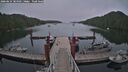 ./images/calvert/dock/20260624/dock20260624_184501M.jpg