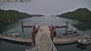 ./images/calvert/dock/20260624/dock20260624_190501M.jpg