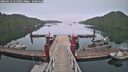 ./images/calvert/dock/20260624/dock20260624_212501M.jpg