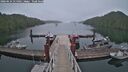 ./images/calvert/dock/20260624/dock20260624_215001M.jpg