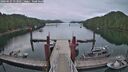 ./images/calvert/dock/20260625/dock20260625_053501M.jpg