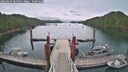 ./images/calvert/dock/20260625/dock20260625_064502M.jpg
