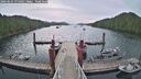 ./images/calvert/dock/20260625/dock20260625_075001M.jpg