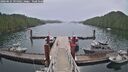 ./images/calvert/dock/20260625/dock20260625_095001M.jpg