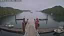./images/calvert/dock/20260625/dock20260625_165001M.jpg