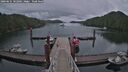 ./images/calvert/dock/20260625/dock20260625_182001M.jpg