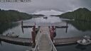 ./images/calvert/dock/20260625/dock20260625_190501M.jpg