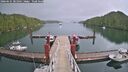 ./images/calvert/dock/20260625/dock20260625_201001M.jpg