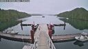 ./images/calvert/dock/20260625/dock20260625_204001M.jpg