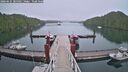 ./images/calvert/dock/20260625/dock20260625_205501M.jpg