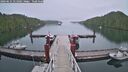 ./images/calvert/dock/20260625/dock20260625_211001M.jpg