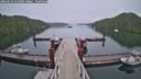 ./images/calvert/dock/20260625/dock20260625_213501M.jpg