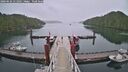 ./images/calvert/dock/20260626/dock20260626_111001M.jpg
