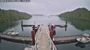 ./images/calvert/dock/20260626/dock20260626_113001M.jpg