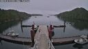 ./images/calvert/dock/20260626/dock20260626_155001M.jpg