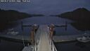 ./images/calvert/dock/20260627/dock20260627_223501M.jpg