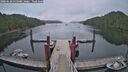 ./images/calvert/dock/20260628/dock20260628_055001M.jpg