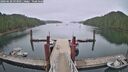 ./images/calvert/dock/20260628/dock20260628_093001M.jpg