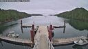 ./images/calvert/dock/20260628/dock20260628_103001M.jpg