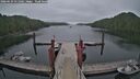 ./images/calvert/dock/20260629/dock20260629_051002M.jpg
