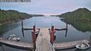 ./images/calvert/dock/20260629/dock20260629_060501M.jpg