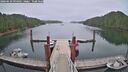 ./images/calvert/dock/20260629/dock20260629_094501M.jpg